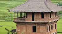 10 Inspirasi Warna Cat Rumah Kayu yang Elegan dan Timeless, Tren Terbaru 2025