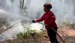 5 Hektare Lahan Gunung Budeg Hangus Terbakar