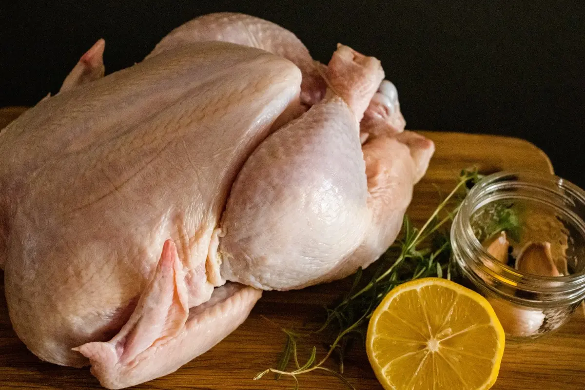 Ilustrasi daging ayam segar