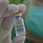 Petugas vaksinator menunujukkan vaksin CoronaVac dari SinoVac di RSUD Cengkareng, Jakarta, Kamis (14/01/2021). Vaksinasi Covid-19 tahap awal akan menargetkan 1,48 juta tenaga kesehatan. (Liputan6.com/Herman Zakharia)