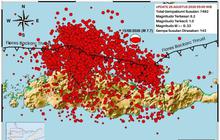 7.492 Gempa Susulan Guncang Flores, Korban Meninggal Mencapai 100 Orang