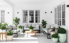 7 Tips Menata Teras Rumah Sederhana agar Rapi dan Nyaman, Ideal untuk Hunian Minimalis dengan Lahan Terbatas