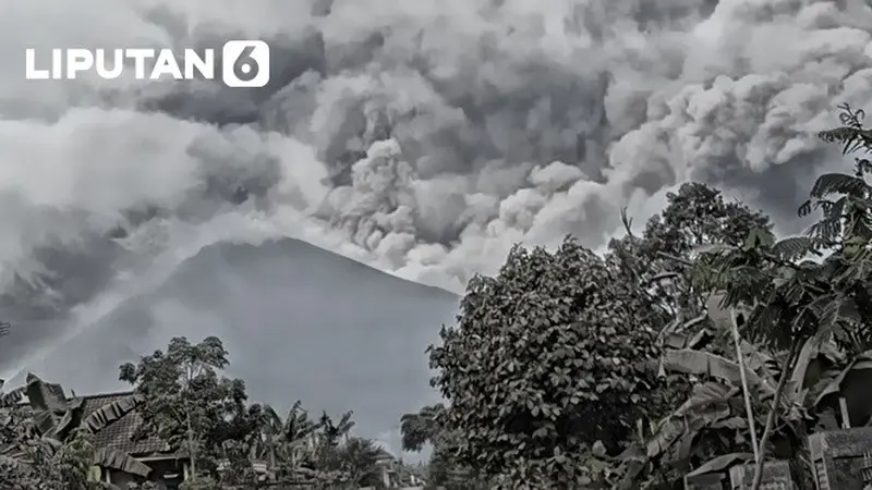 Banner Infografis Kejutan Tak Terduga Erupsi Gunung Semeru. (Liputan6.com/Abdillah)