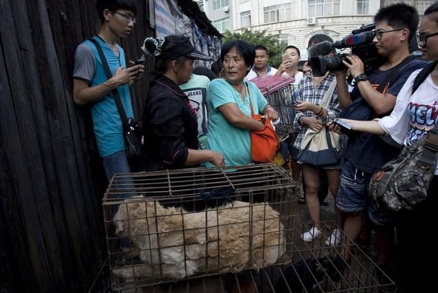 Nenek Yang saat membeli ratusan hewan di pasar | Photo: Copyright shanghaiist.com