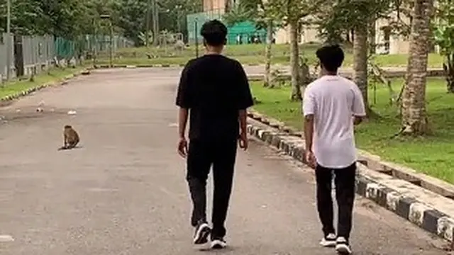 Takut Dikejar Monyet, Dua Orang Ini Malah Mematung Seperti Permainan Squid Game