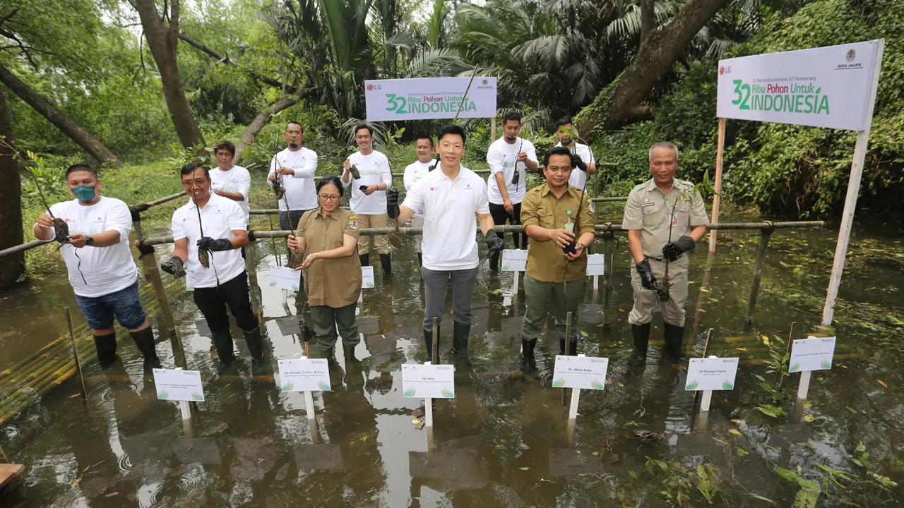 32 tahun Beroperasi di Indonesia, LG Tanam 32 Ribu Pohon Mangrove
