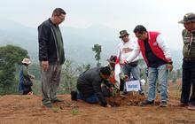 Dukung Program Eco Green, ATVSI dan Odesa Tanam 1.000 Pohon di KBU Wilayah Timur