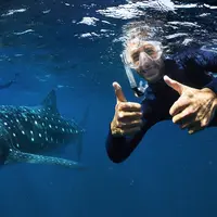 Daniel Ricciardo menyelam bersama whale shark (foto: Tourism Western Australia.dok)