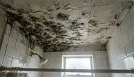 Cara Mengatasi Black Mold di Plafon Kamar Mandi, Aman dan Ampuh Tak Muncul Lagi