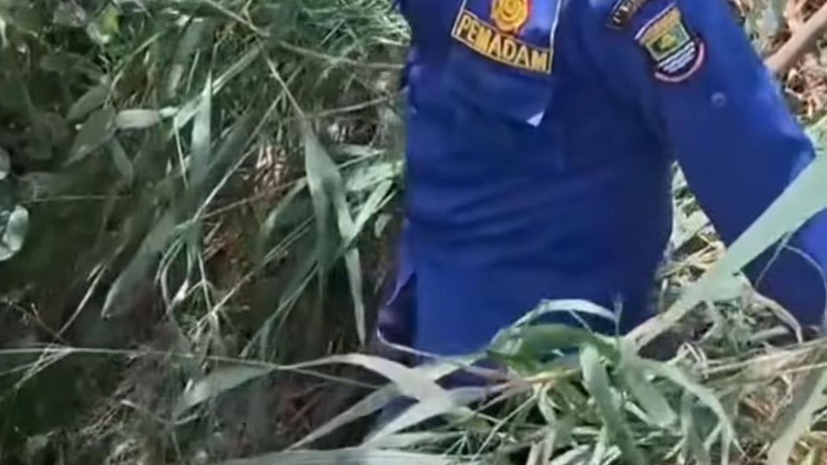 Viral Wanita Minta Tolong Damkar Carikan Hp yang Dibuang Saat Ribut dengan Pacar