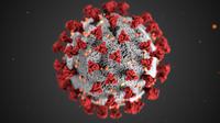 Ilustrasi virus corona (Foto oleh CDC dari Pexels).