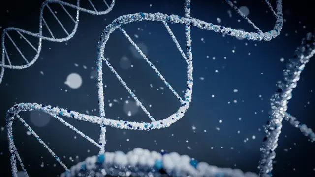 Ilustrasi DNA, RNA