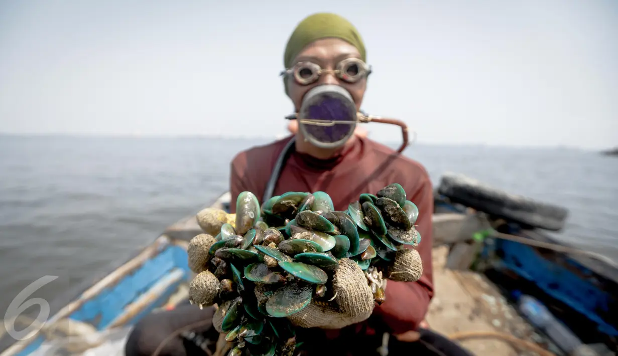 Supardi menunjukkan hasil tangkapannya berupa Kerang Hijau yang diambilnya di perairan pesisir Cilincing, Jakarta, Jumat (17/3). Supardi sudah menggeluti profesi sebagai nelayan kerang hijau selama 16 tahun. (Liputan6.com/Faizal Fanani)