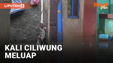 Banjir Kali Ciliwung