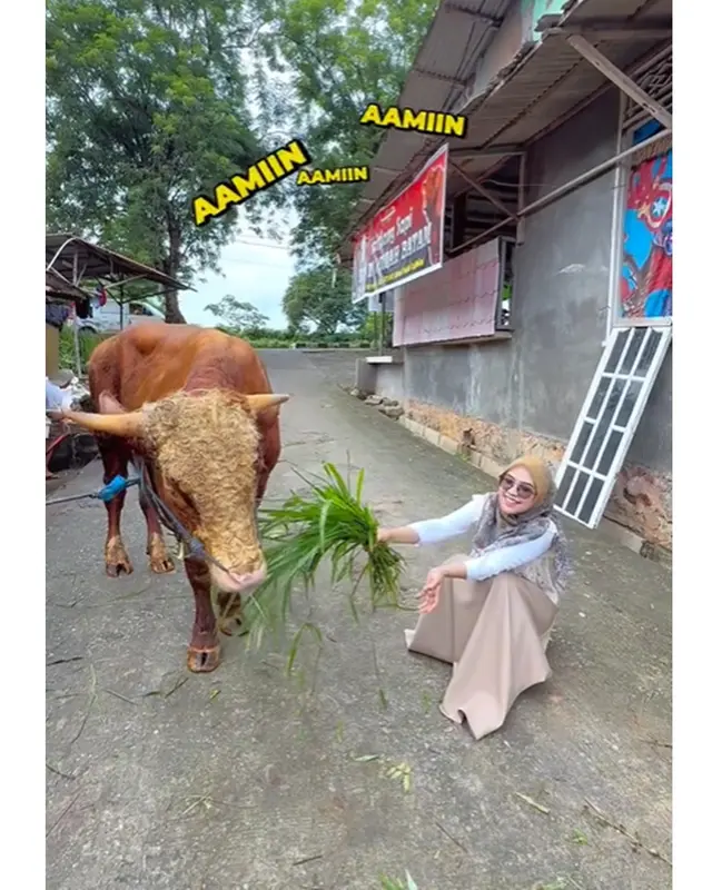 7 Artis kurban sapi di Idul Adha 2025, Ruben Onsu kurban sapi jumbo