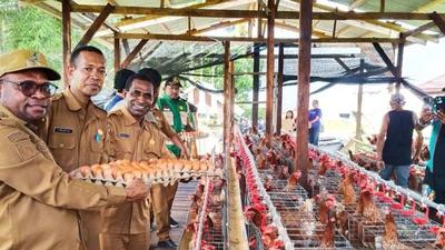 Pemberdayaan Peternak OAP Sorong: Telur Lokal Siap Pasok Program Makan Bergizi Gratis