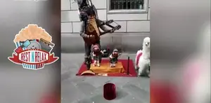 Mainkan Banyak Alat Musik, Musisi Jalanan Ini Sangat Kreatif