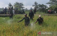 Pemkab Kuningan Alokasikan Rp76 Miliar untuk Ketahanan Pangan Desa, Dorong Kemandirian Ekonomi