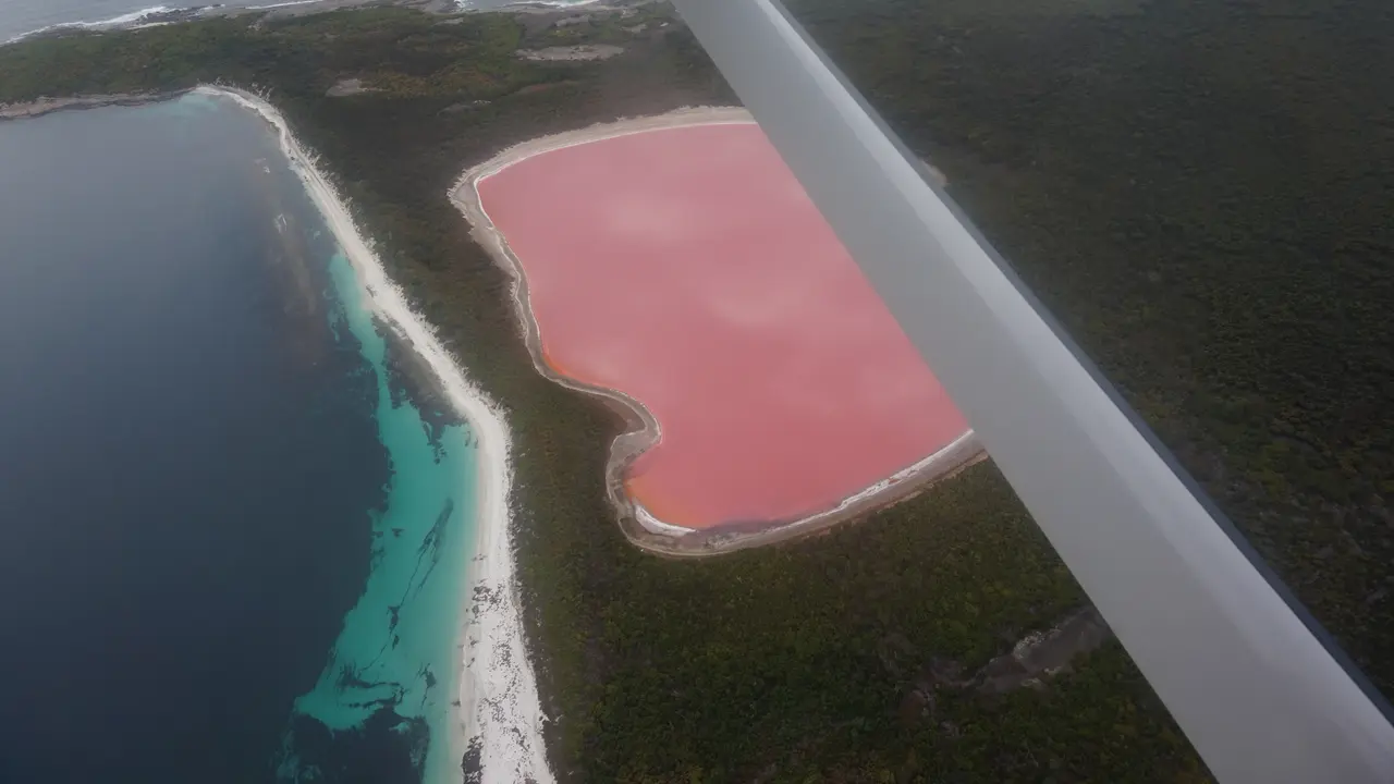 Warna merah muda yang pekat menutupi seluruh permukaan air Lake Hiller di Middle Island, Australia Barat (Liputan6.com/Happy Ferdian)