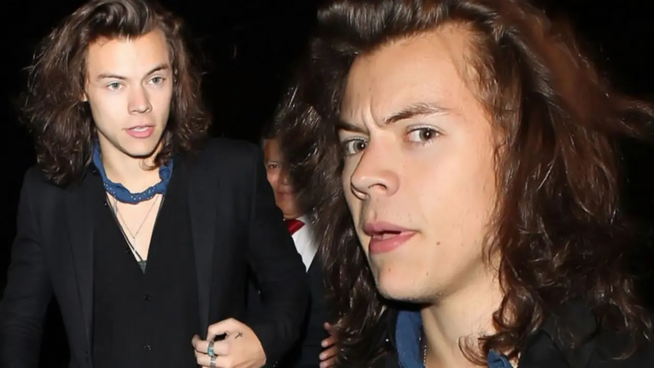 Harry Styles 
