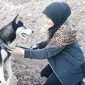 Anjing Sahba, seekor husky Siberia tujuh bulan bernama Aseman (Liputan6/Sahba Barakzai)