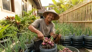 8 Cara Memperbesar Batang Bawang Merah agar Umbinya Lebih Besar dan Berisi