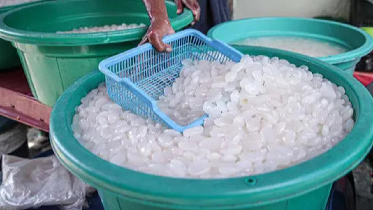Manfaat Kesehatan Kolang-Kaling untuk Kesehatan Tulang dan Sendi, Ketahui Cara Tepat Konsumsinya