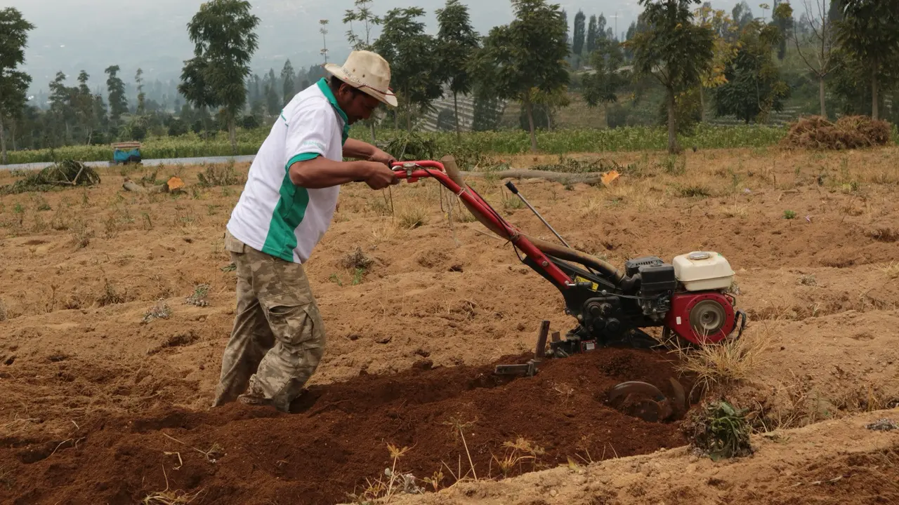 Kementan