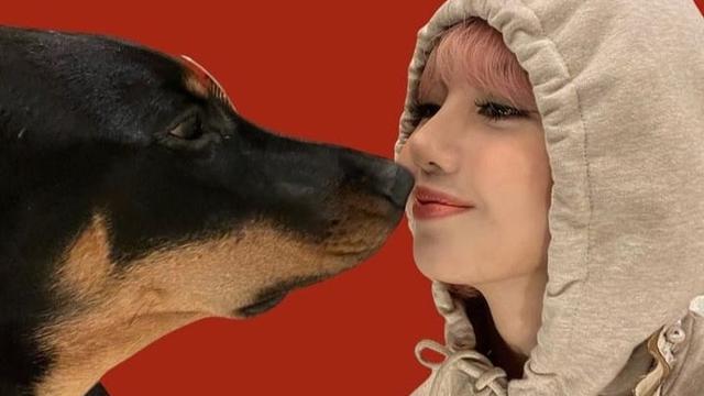 Lisa BLACKPINK Juga Memelihara Anjing Bernama Love.