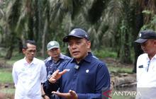 Empat KUD Binaan PTPN IV PalmCo Raih Sertifikasi RSPO Internasional, Perkuat Sawit Berkelanjutan Indonesia