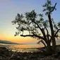 Pantai Tanjung Bastian, pantai indah di perbatasan Indonesia bagian selatan. Foto: (Ola Keda/Liputan6.com)