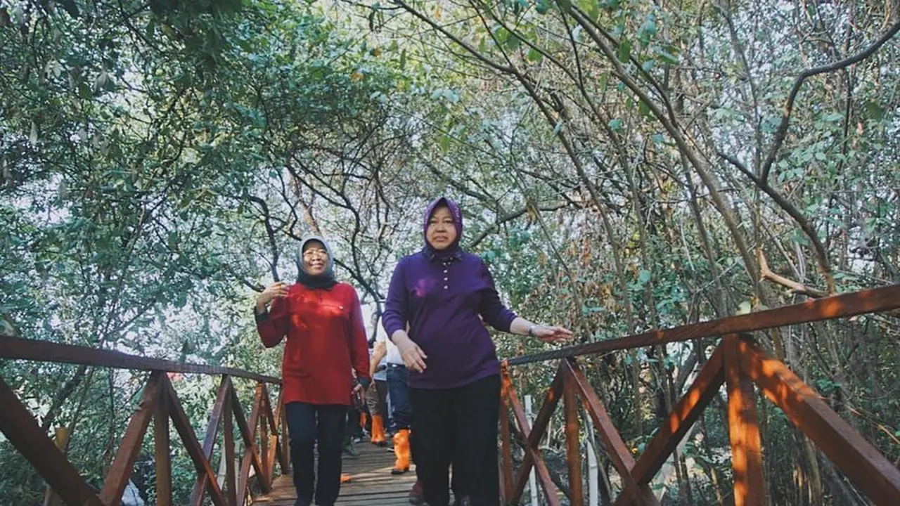 7 Potret Suasana Penanaman Pohon di Kebun Raya Mangrove Pertama di Dunia