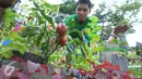 Seorang narapidana mengecek tanaman saat Festival Napi Berkebun (FNB) 2015 di Pasar Festival Gelanggang Olahraga Soemantri Brodjonegoro, Kuningan, Jakarta Selatan, Jumat, (18/12/15). (Liputan6.com/Faisal R Syam)