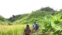 Nugal adalah tradisi membuka lahan untuk menanam padi ladang kering yang menjadi kebiasaan Suku Dayak.