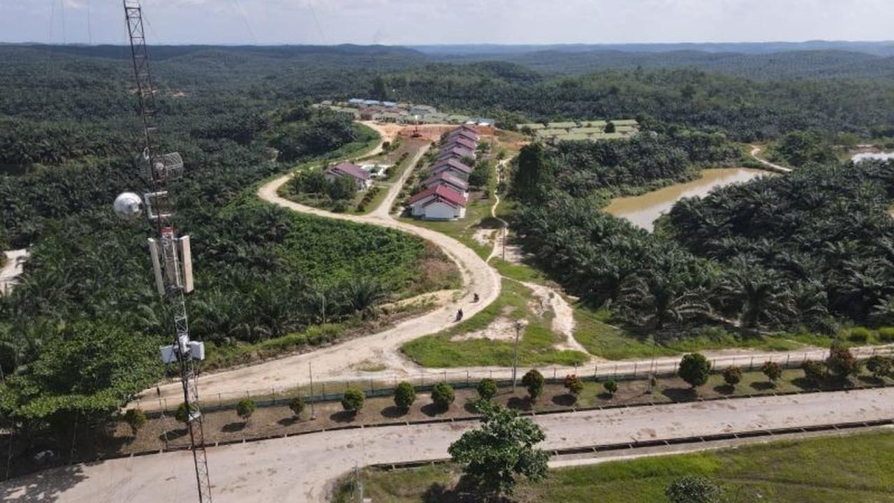 Tahukah Anda? Jaringan Telkomsel Jambi Kini Hadir di Perkebunan Sawit, Tingkatkan Produktivitas dan Ekonomi Lokal