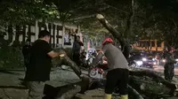 5 Pemotor Tertimpa Pohon Tumbang Depan Kampus Unpad Jatinangor