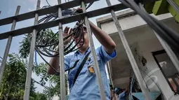 Petugas PLN menggulung kabel dari sambungan listrik ilegal di Johar Baru, Jakarta, Rabu (25/3/2015). Kegiatan itu untuk mengurangi saluran listrik ilegal dan mencegah kebakaran. (Liputan6.com/Faizal Fanani)