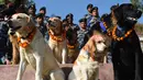 Personel kepolisian Nepal bersama anjing-anjing polisi yang diberikan kalung dan bubuk merah selama perayaan festival Tihar di Kathmandu, Selasa (6/11). Di India, festival Tihar dikenal sebagai Diwali atau Deepawali. (PRAKASH MATHEMA/AFP)