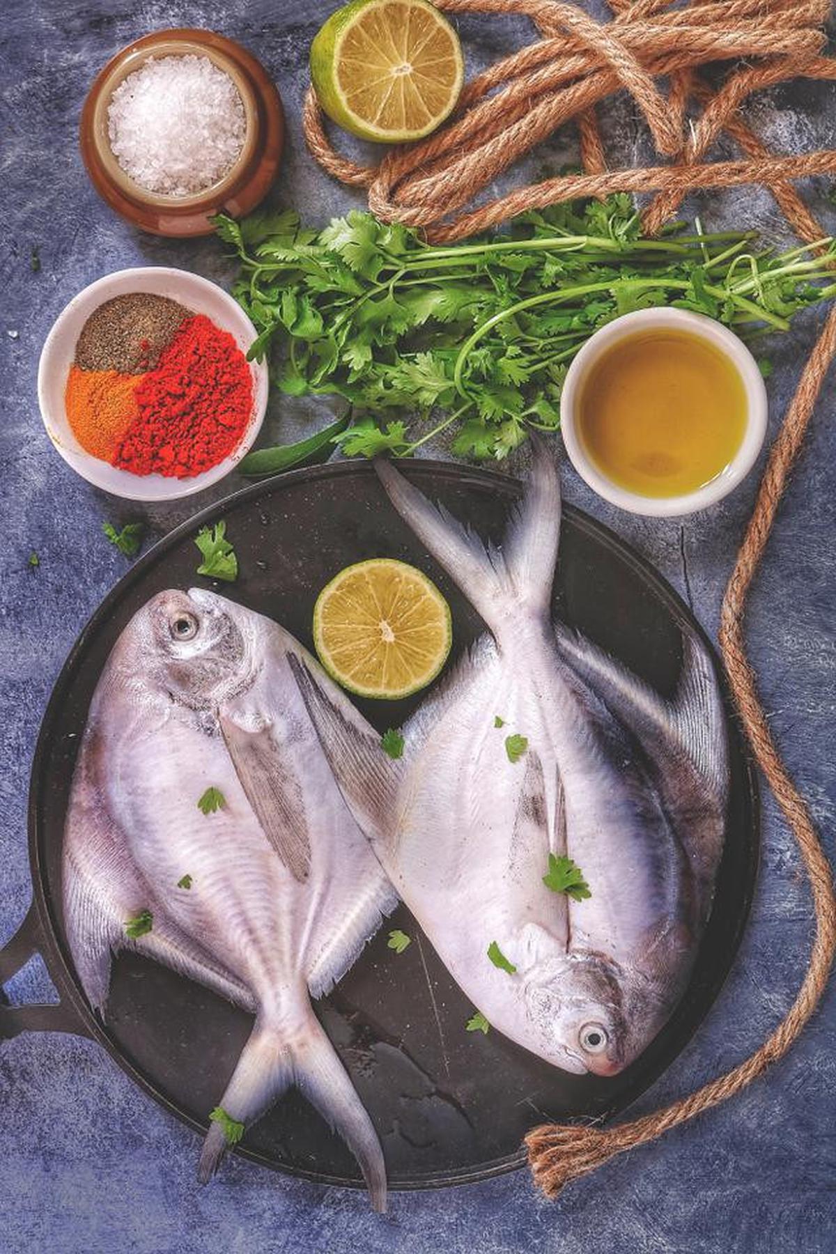 Ikan Laut vs Ikan Air Tawar, Mana yang Lebih Baik dan Bergizi?