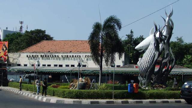Menelusuri Jejak Keberadaan Keraton Surabaya Surabaya