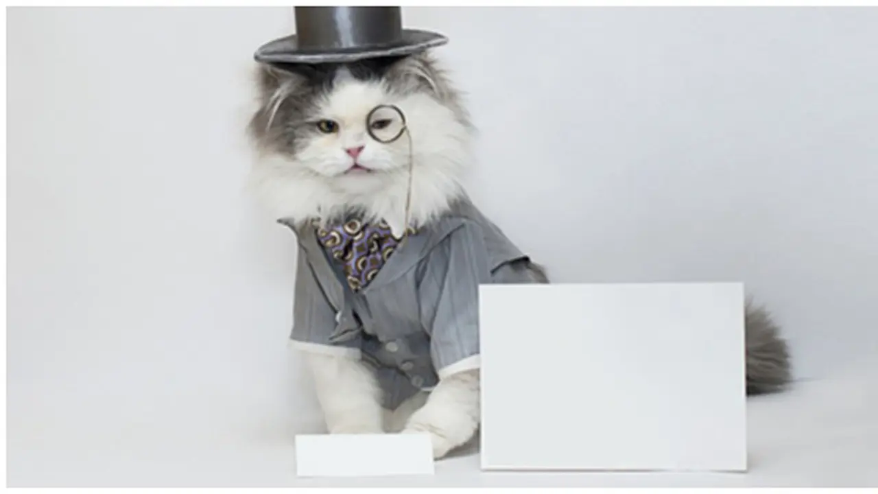 courtesy of shutterstock