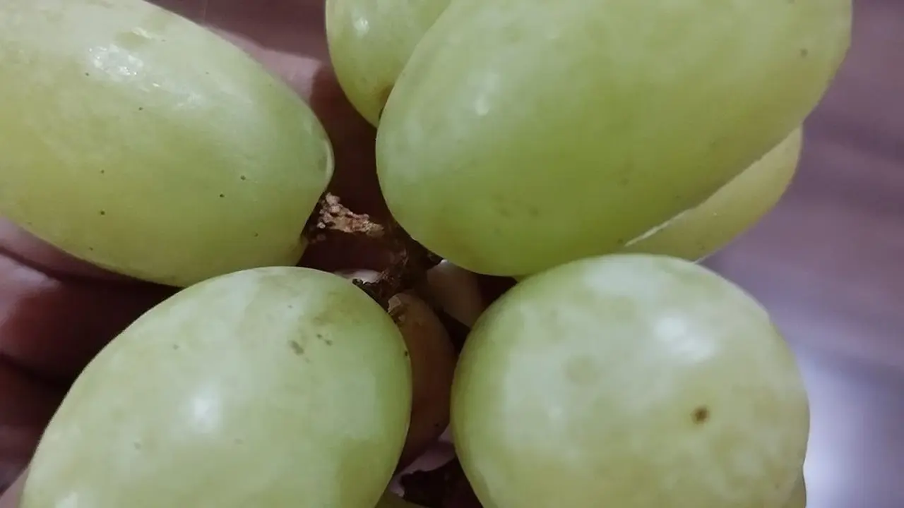 Tanpa Tepung, Begini Cara Hilangkan Lilin dan Pestisida pada Anggur Cuma Pakai 2 Bahan Dapur