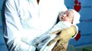 Sigra Umar Narada (SUN). Anak kedua pasangan Anji dan Wina Natalia ini berjenis kelamin laki-laki. Lahir pada Jumat, 10 April 2015 secara Caesar di Kemang Medical Care dengan berat 3,49 kg dan panjang 49 cm. (Wimbarsana/Bintang.com)