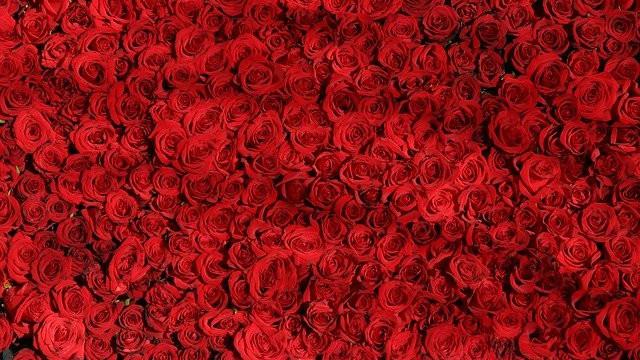 Ilustrasi warna merah