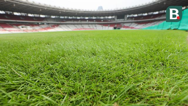 Foto: Mengintip Kondisi Rumput SUGBK Jelang Hadapi Jepang di Kualifikasi Piala Dunia