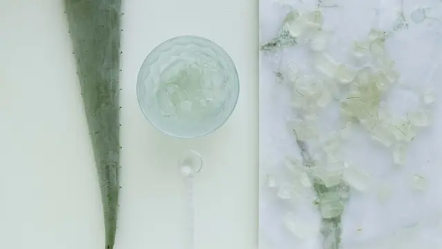 Menggunakan Lidah Buaya