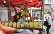 Apakah Penderita Asam Urat Boleh Mengonsumsi Durian? Ini Penjelasan Ahli agar Kondisi Tidak Kambuh