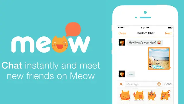 meow chat