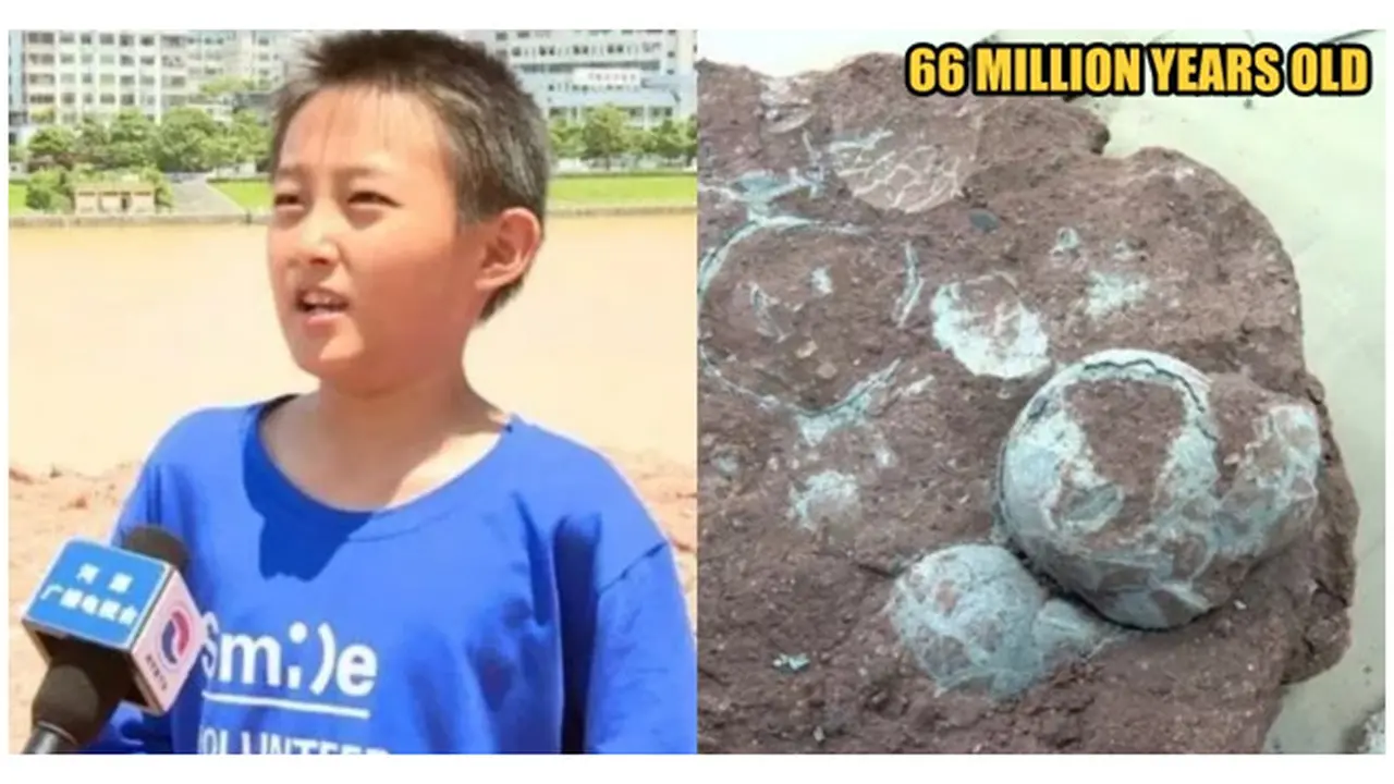 Tak Terduga, Bocah Ini Temukan 11 Telur Dinosaurus Ketika Bermain di Tepi Sungai