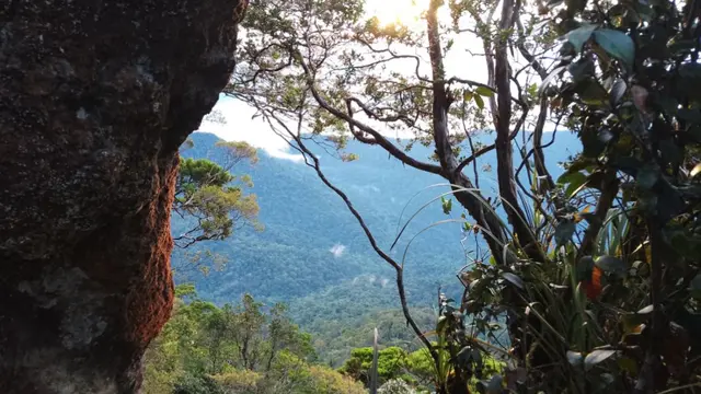 Gunung Mantapok di Sabah, Malaysia. (Dok: Gunung Bagging https://www.gunungbagging.com/mantapok/)